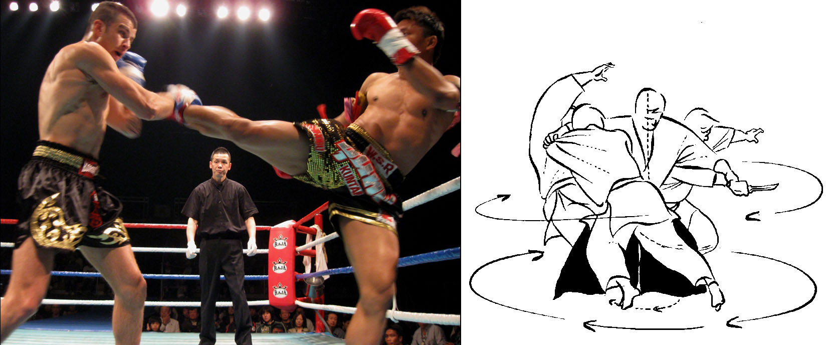 Internal Martial Arts, External Martial Arts, Hard Style, and Soft